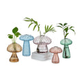 Glasseam Mushroom Plant Propagation Stations: 5 Pcs Glass Propagation Vases | Colored, Hand-Blown, Small Hydroponic