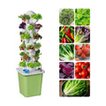 Hydroponics Growing System Kit, 30 Pots Vertical Garden Planter with Pump and Timer, Hydropoic Tower for Soilless