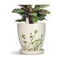 6 Inch Plant Pot - Ceramic Pots for Plants with Drainage Hole and Saucer, Ceramic Succulent Pots for Indoor Outdoor