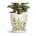 Ceramic Pots for Plants - 6 Inch Plant Pot for Indoor Outdoor Plants, Ceramic Planter with Drainage Hole and Saucer