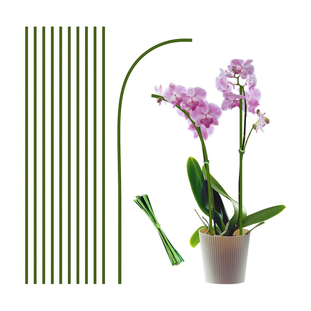 10Pcs Plant Stakes, 15IN Orchid Support Stakes for Indoor Plants