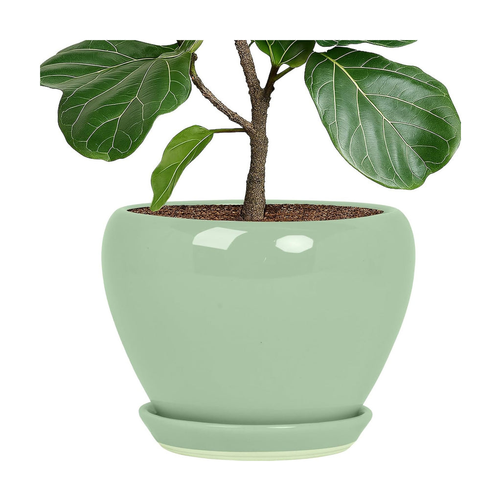 Deep Dream 10 Inch Plant Pot- Ceramic Planter Pot Round Plant Pots for Indoor Plants Outdoor Large Flower Pot with Drainage Holes & Trays, Mint Green