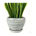 Deep Dream 8 Inch Plant Pots- Ceramic Pots for Plants with Drainage Hole and Saucer, Large Planter Pot for Indoor Plants Outdoor Decor, Brushed Green