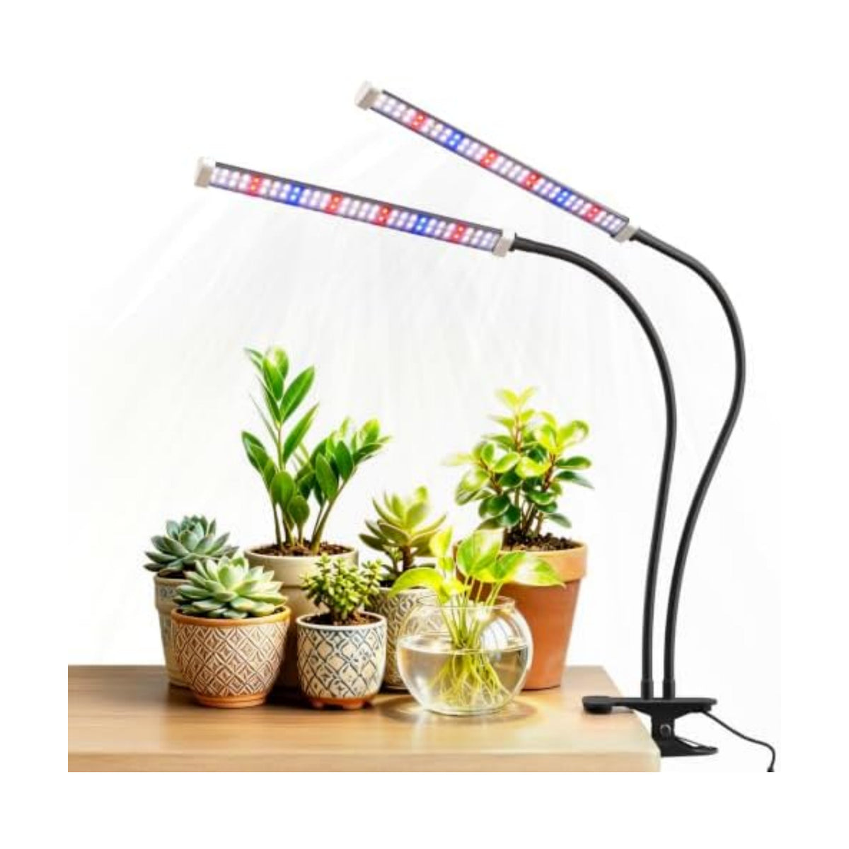 Grow Lights for Indoor Plants,LED Clip-On Clamp, Dual Head