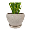 Deep Dream 8 Inch Plant Pots- Ceramic Pots for Plants with Drainage Hole and Saucer, Large Planter Pot for Indoor Plants Outdoor Decor, Beige
