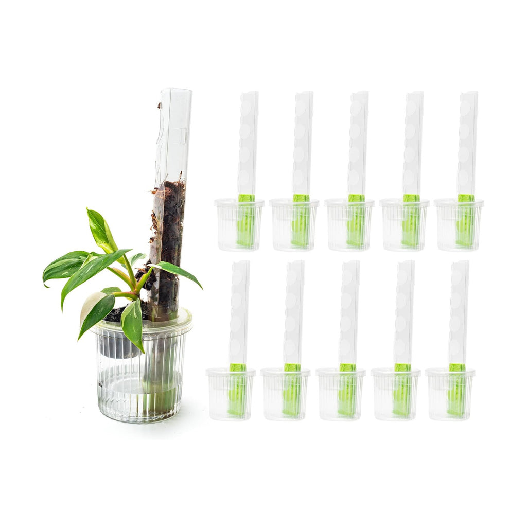THICCLY Small GrowLid 10 Pcs (Clear) - Self Watering Clear D-Shaped Plastic Moss Pole Hydroponics Growing System Kratky