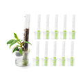 THICCLY Small GrowLid 10 Pcs (Clear) - Self Watering Clear D-Shaped Plastic Moss Pole Hydroponics Growing System Kratky
