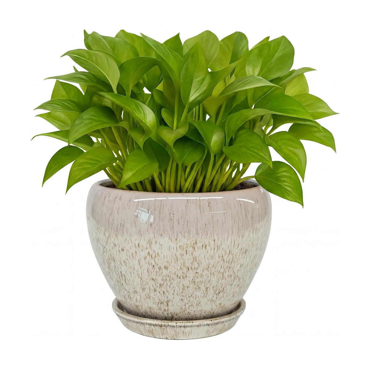 Deep Dream 6 Inch Plant Pots- Ceramic Planter Pot with Drainage Hole and Saucer, Round Flower Pot for Indoor Outdoor Succulent, Snake Plants and Cactus, Beige