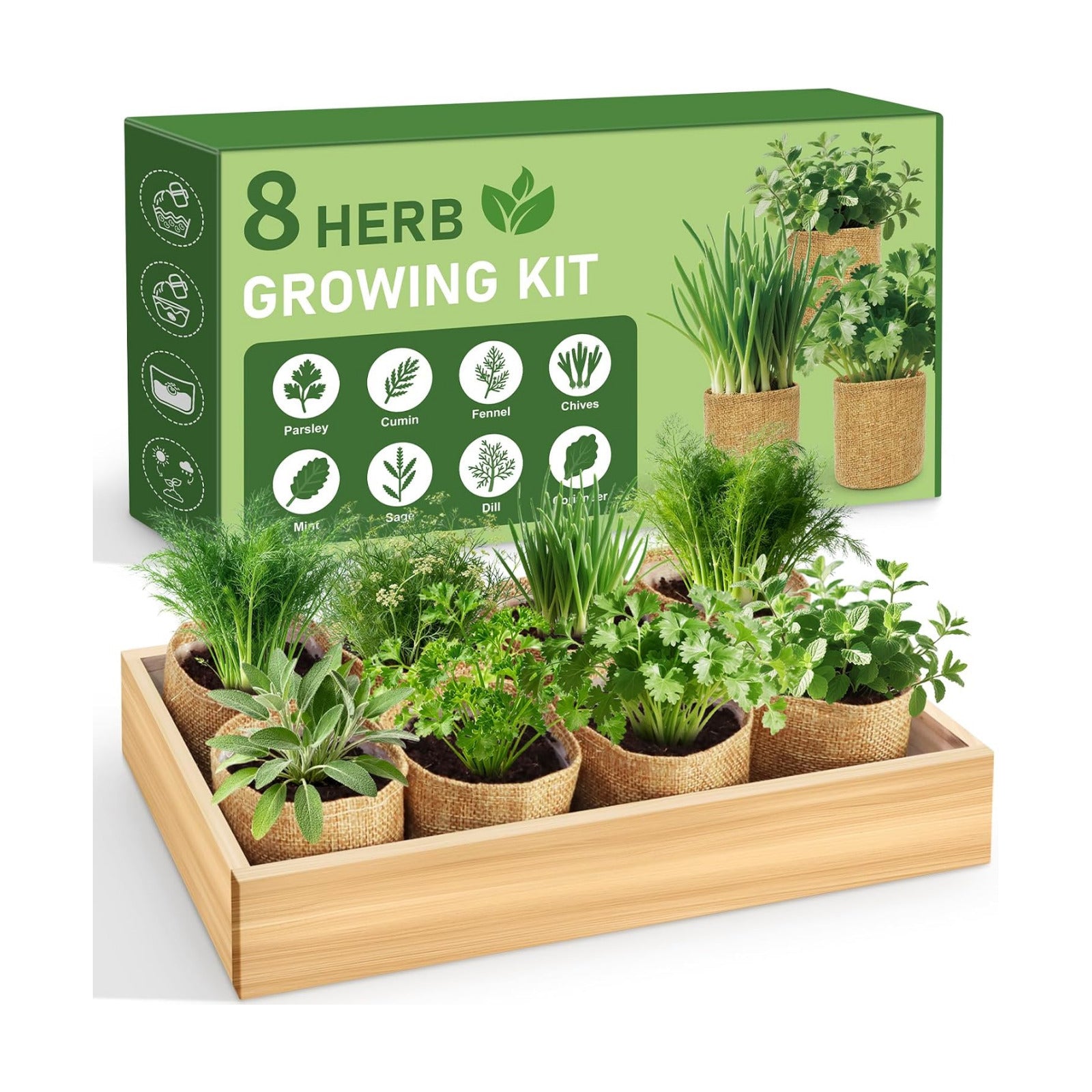 LUOJIBIE Herb Garden Kit Indoor, Herb Growing Kit with Seeds & Tools, Birthday Gifts for Women Men Mom Dad Girls Boys