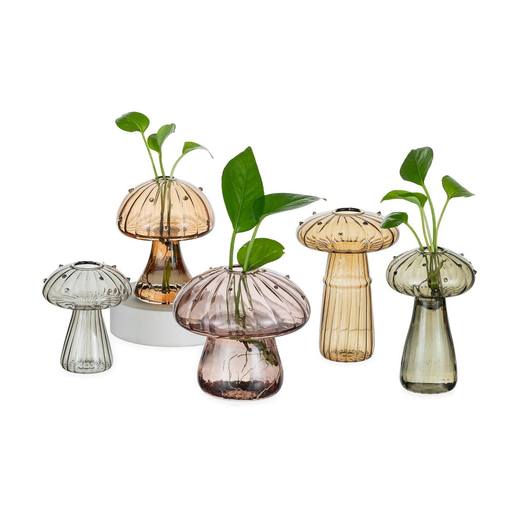 Hewory Plant Propagation Station: 5PCS Amber Glass Mushroom Vase for Flower | Propagation Vases, Mushroom Decor, Gifts
