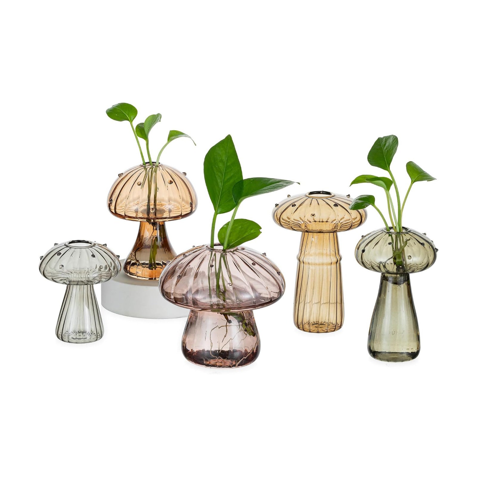 Hewory Plant Propagation Station: 5PCS Amber Glass Mushroom Vase for Flower | Propagation Vases, Mushroom Decor, Gifts