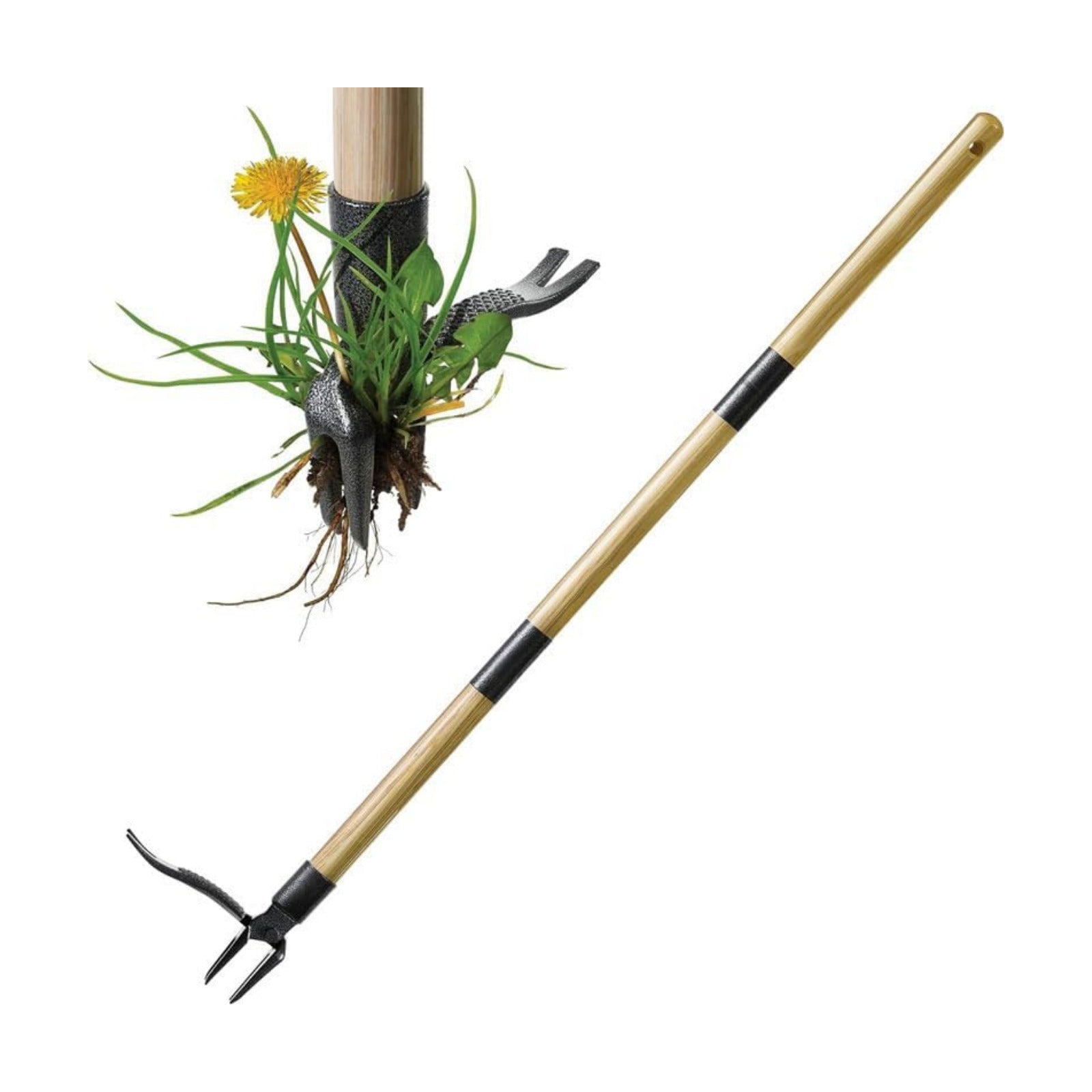 Stand-Up Weed Puller Tool with Long Handle for Dandelions and Garden Weeds. | Carbon Steel Head | Bamboo Shaft