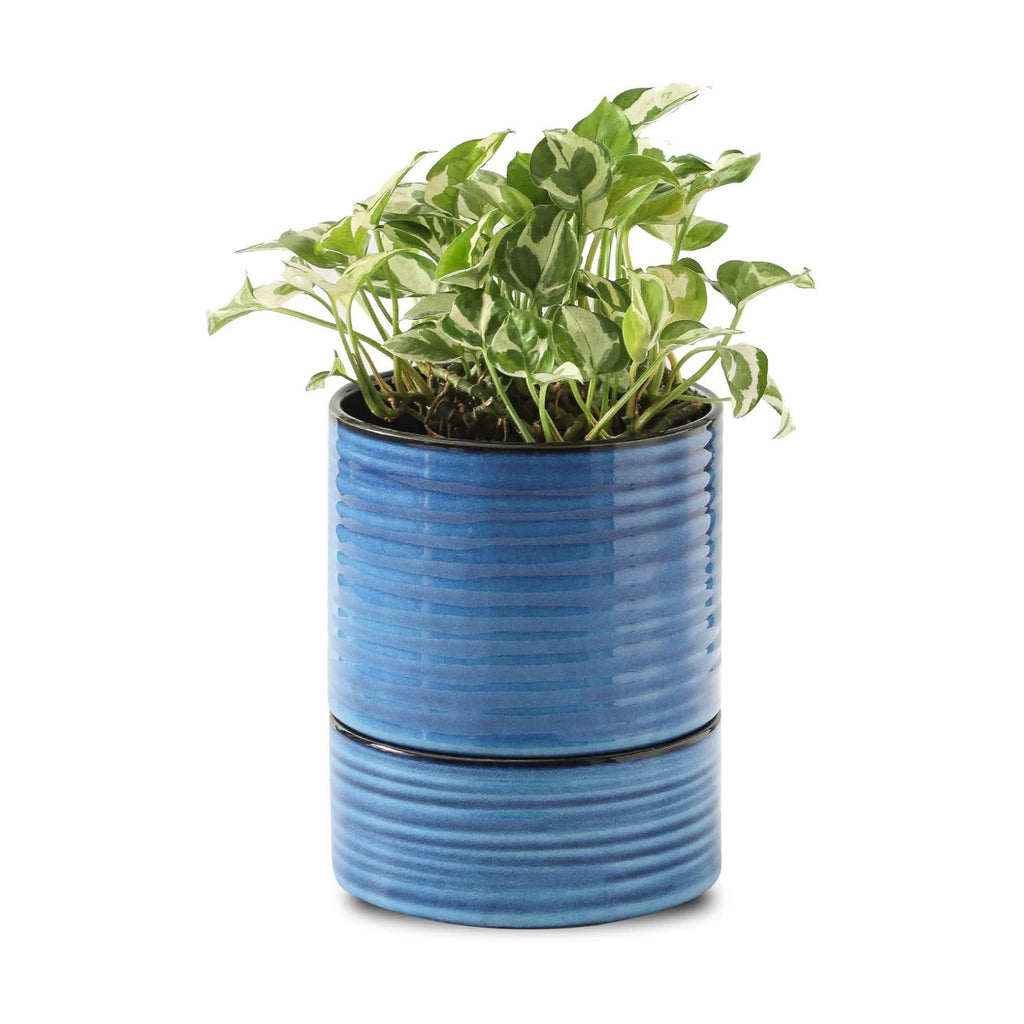 HASENSE Ceramic Self Watering Pots for Indoor Plant, 6 Inch Planter with Drainage Hole & Water Storage Saucer for