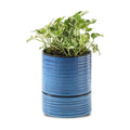 HASENSE Ceramic Self Watering Pots for Indoor Plant, 6 Inch Planter with Drainage Hole & Water Storage Saucer for