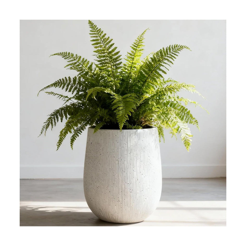 Worth Garden White Large Round Planter, 12.5" Dia x 18.5" H Lightweight Magnesium Oxide Cement Plant Pot with a Striped