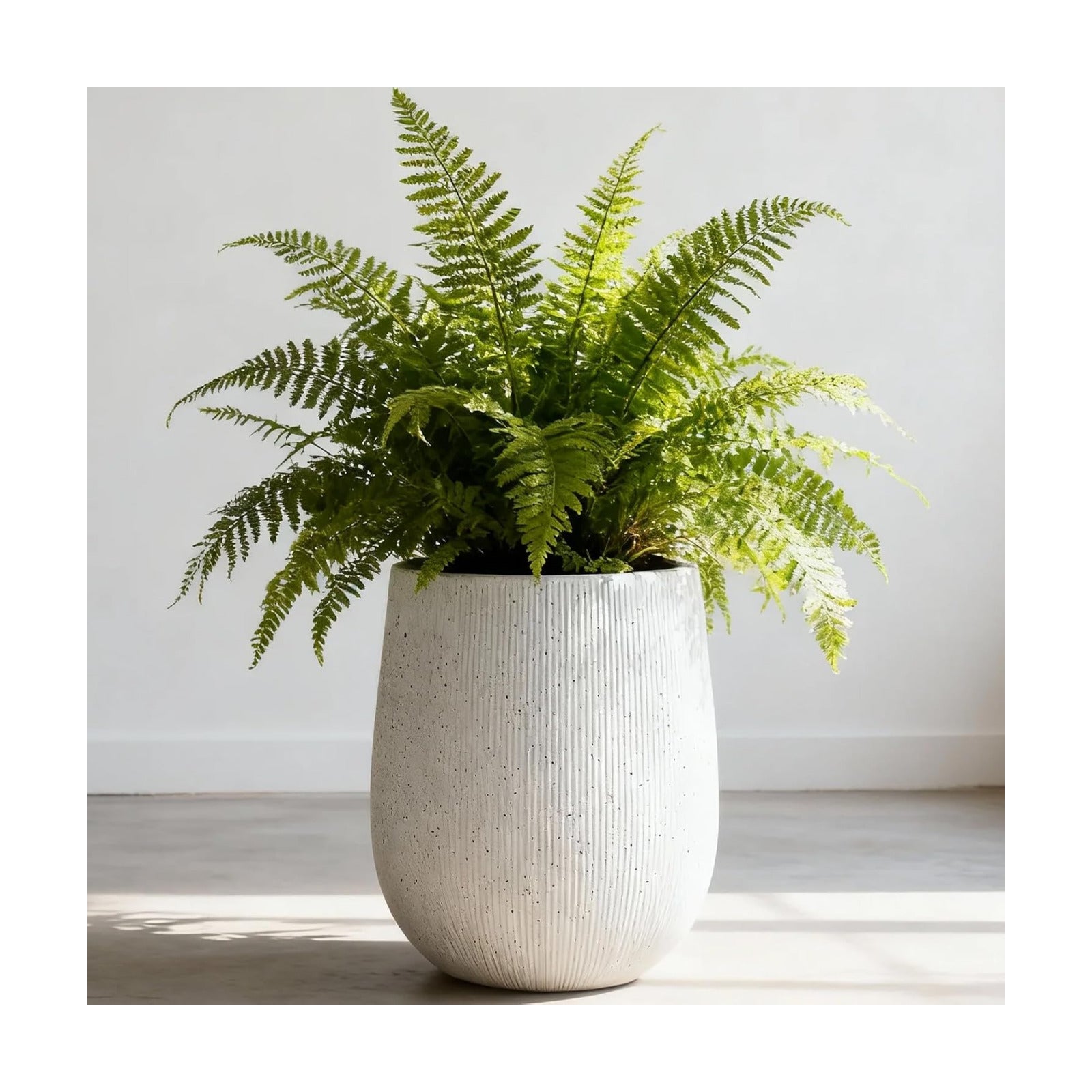 Worth Garden White Large Round Planter, 12.5" Dia x 18.5" H Lightweight Magnesium Oxide Cement Plant Pot with a Striped