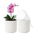 Orchid Pot,Ceramic Plant Pot with Clear Pot,5 inch,White,2pack | self watering,Dual-Pot System,Root Visibility,Flexible