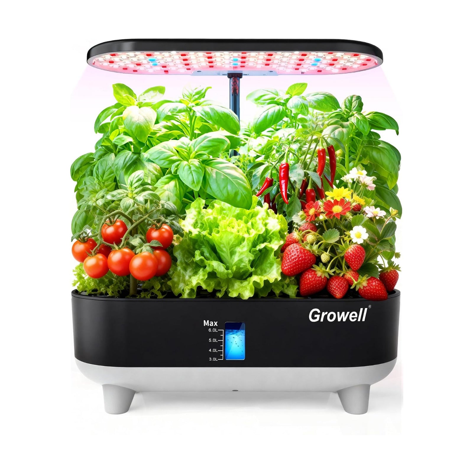 Growell 16 Pods Hydroponics Growing System Kit with 3 Light Modes & 2 Timer | Smart Water Circulation, LED Grow Light