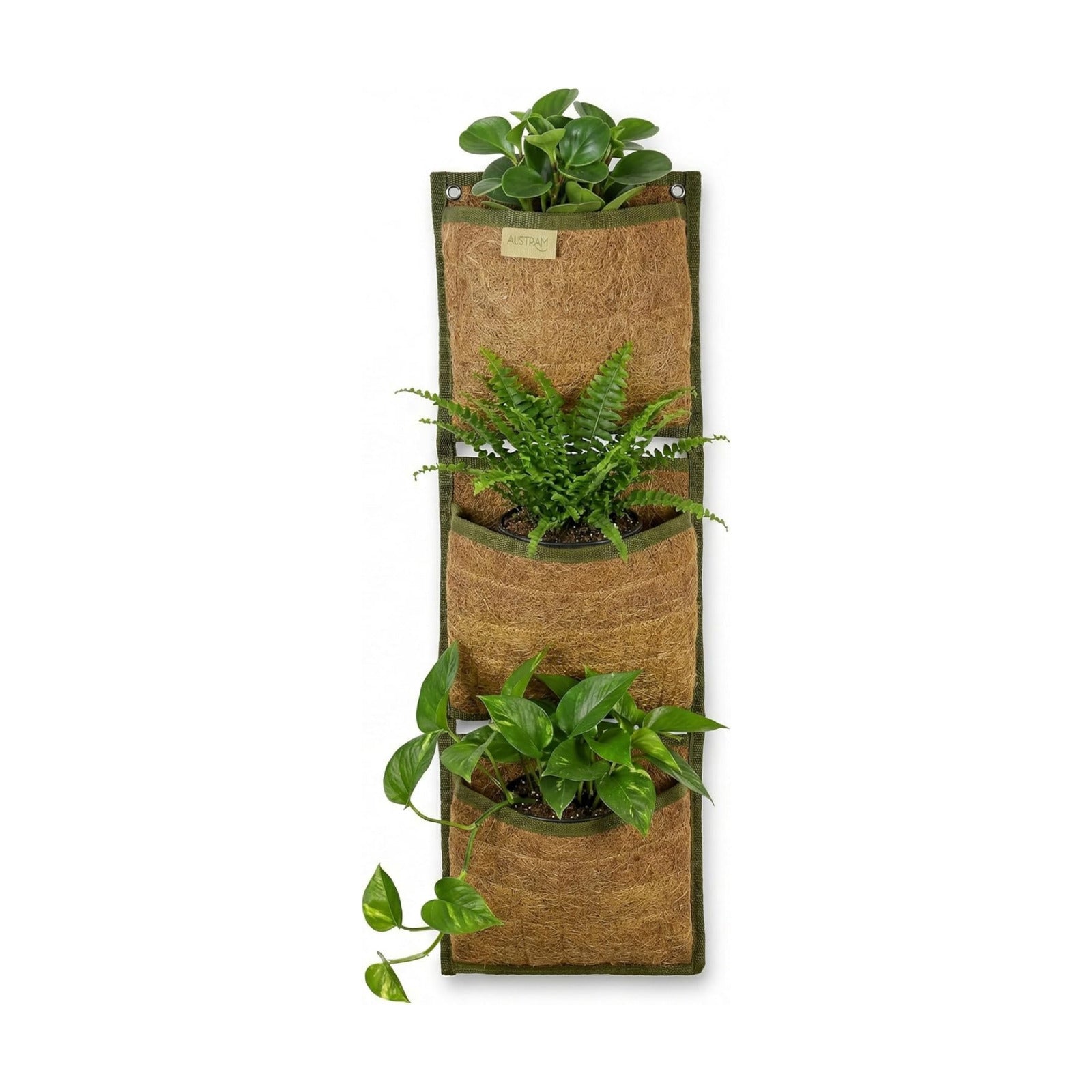 Vertical Garden Planter, 3 Pocket, Living wall Planter, Hanging wall planters for Indoor Plants, Hanging planters for