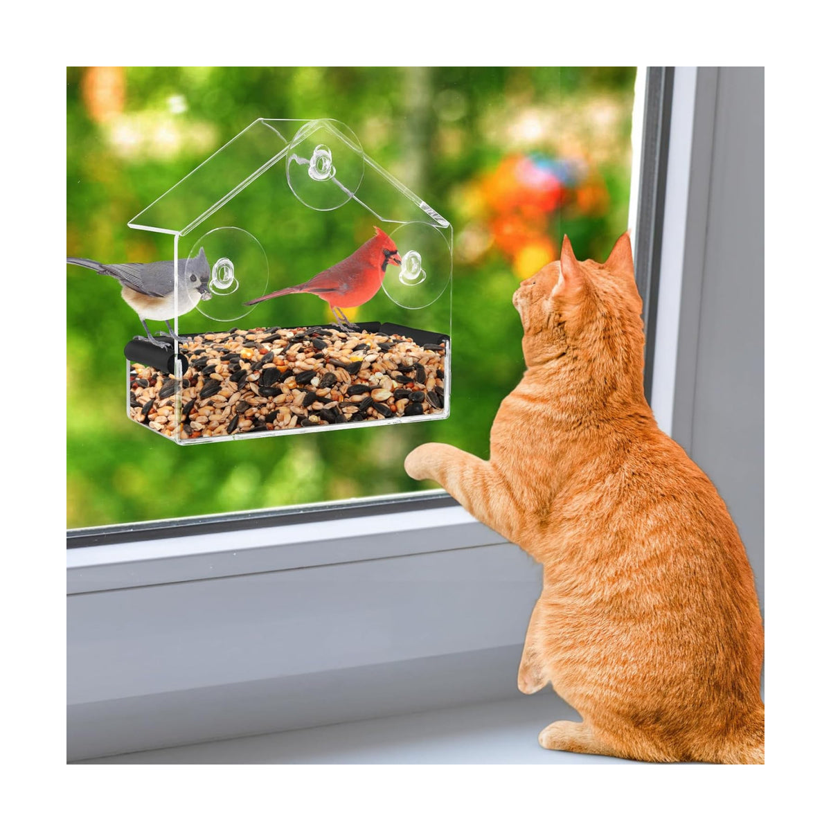 MEWTOGO Outdoor Window Bird Feeder for Cats Viewing, Small