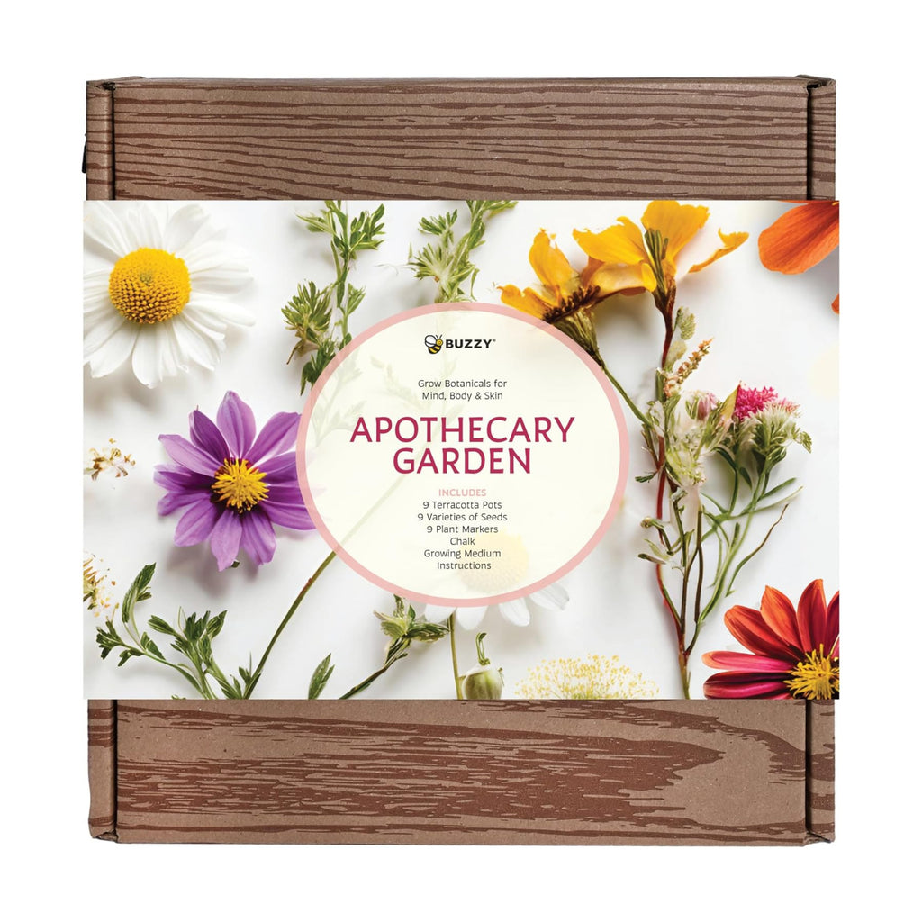 Buzzy Seeds Apothecary Garden Wellness Kit - Mini Terracotta Pot Grow Set - Complete Indoor/Outdoor Gardening Kit with