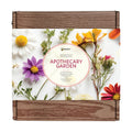 Buzzy Seeds Apothecary Garden Wellness Kit - Mini Terracotta Pot Grow Set - Complete Indoor/Outdoor Gardening Kit with