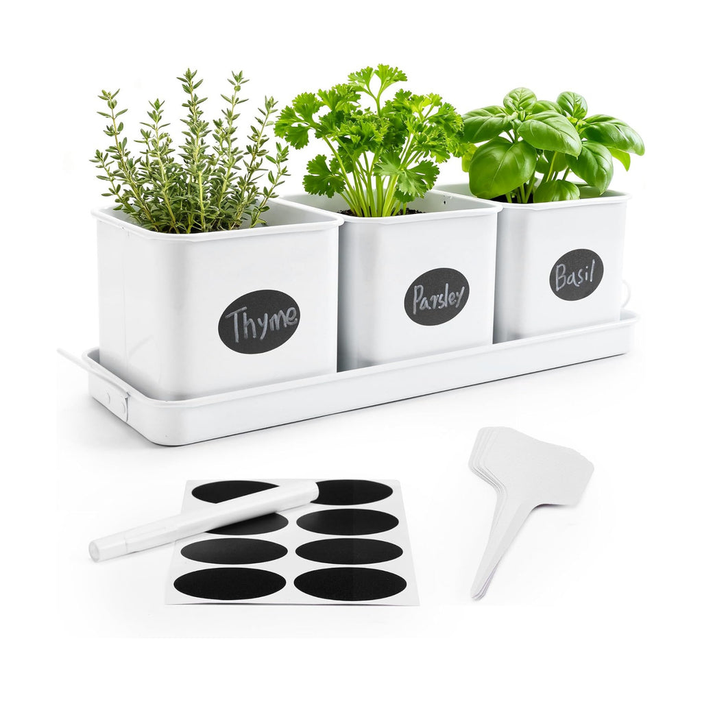 Indoor Herb Garden, Herb Planter Set with Handled Tray, 3 Iron Indoor Plant Pots with Drainage Holes, Windowsill
