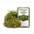 2.5 LB Sphagnum Moss for Plants, Long Fiber Orchid Moss for Carnivorous Plants, Terrariums and Indoor Potting