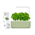 Click & Grow Smart Garden 3 Indoor Herb Garden Kit with Grow Light, Sage