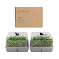 Self-Watering Microgreens Growing Kit with 20 Capillary Grow Mats and Humidity Domes, 4 Trays for Growing Multiple