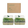 Self-Watering Microgreens Growing Kit with 20 Capillary Grow Mats and Humidity Domes, 4 Trays for Growing Multiple