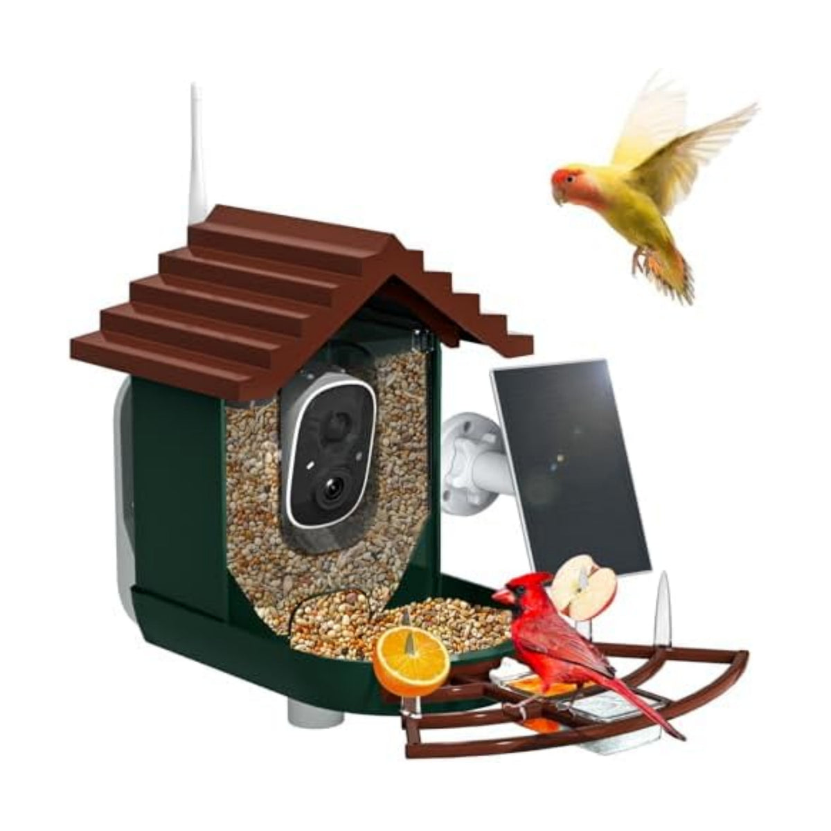 Smart Bird Feeder with Camera Solar Powered & AI Bi rd Identification, 2.4Ghz WiFi Bird feeders for Outdoors, 2K Live Video, Instant Arrival Alerts - Dark red-Green