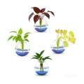 4 pcs Glass Wall Hanging Planter, Oval Terrarium Vase, Propagation Station for Hydroponics, Indoor Plants, Home Office Decor (Large)