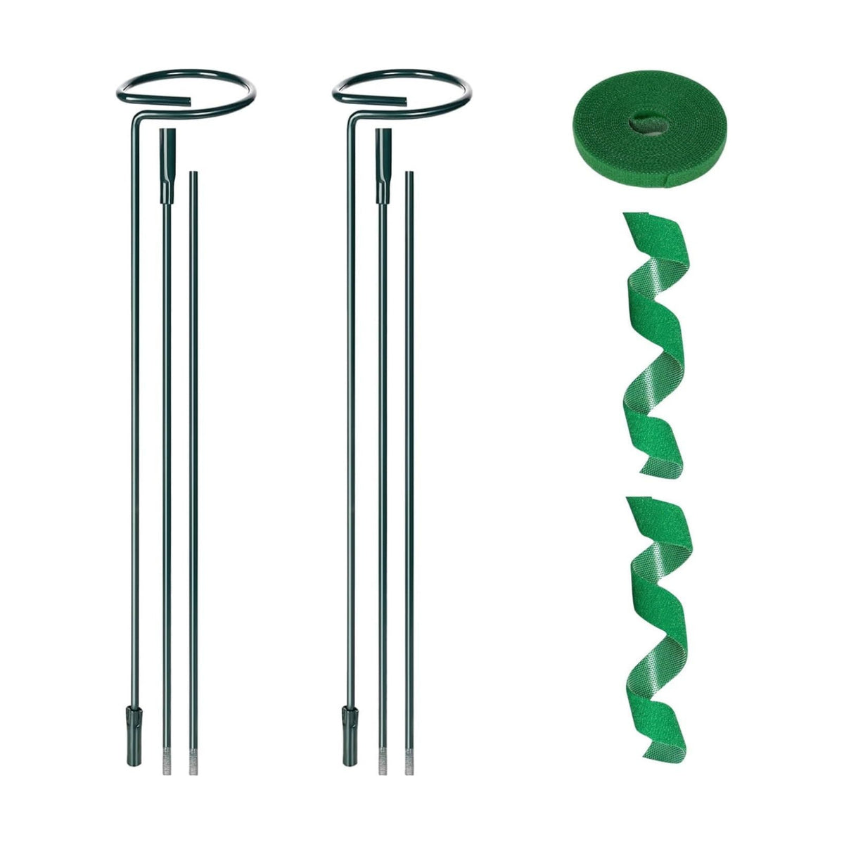 2 Pack Plant Support Sticks, 3 Sizes (12 or 24 or 36 inch) Garden Plant Stake, Plant Support Rings for Indoor Outdoor with Plants Ties, Plants Stakes for Flowers, Climbing Plants, Orchid
