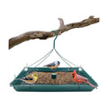 2-in-1 Platform Bird Feeder - 3 Pack