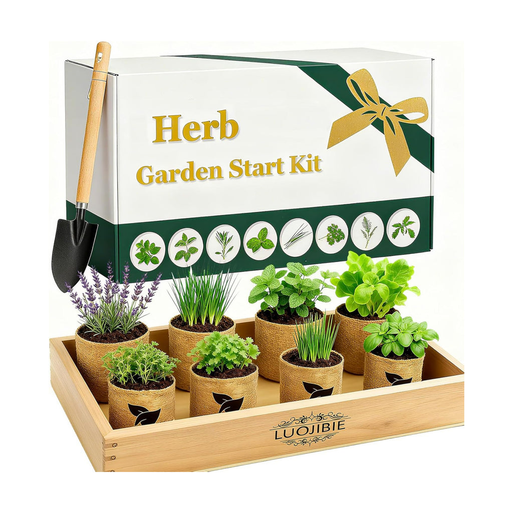 Indoor Herb Garden Start Kit - Unique Gifts for Women, Mothers Day Gifts, Easy House Plant- Birthday for Women,House
