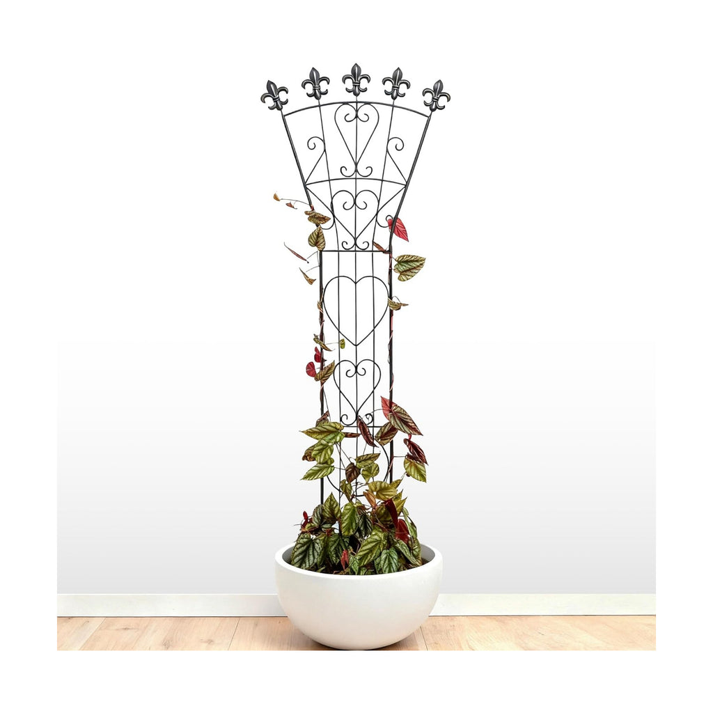 46in Heavy Duty Indoor Climbing Plant Trellis for Monstera, Pothos | Indoor Plant Trellis for Potted Plants - Garden