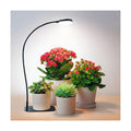 Desktop Plant Grow Light,12w Growing Lamps High Ppfd,Full Spectrum Desk Growth Light with Automatic Timer,4 Dimmable