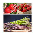 Asparagus & Strawberry Grow Kit – 20 Plants, 2 Asparagus Varieties & 2 Strawberry Varieties – Mary Washington, Purple