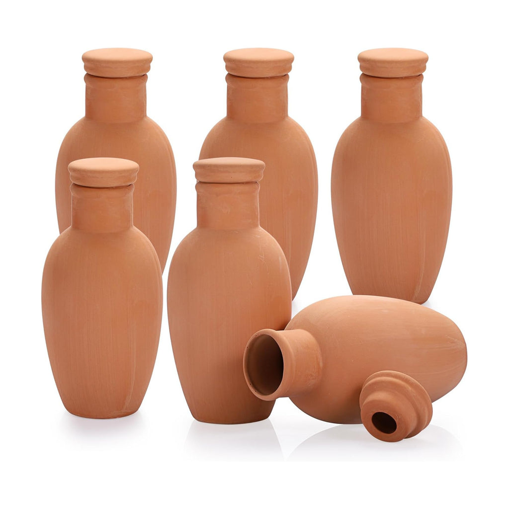 JUXYES 6 Pack Terracotta Self Watering Pots Watering System Planter Spikes | 18 oz Plant Watering Globes with Lid