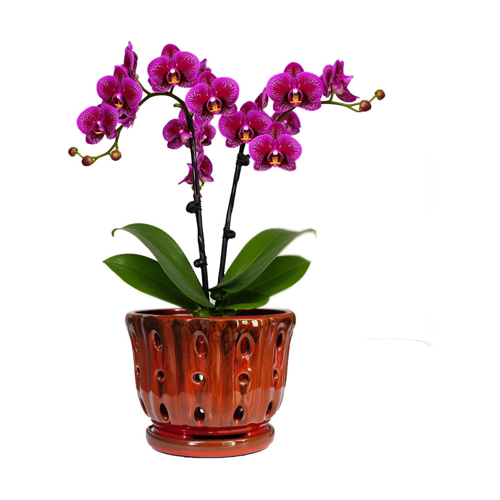 Ceramic Orchid Pot with Drainage Hole 6'' Orchid Planter (Red)