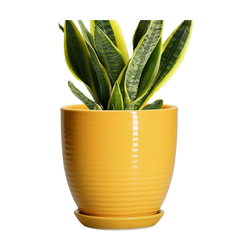 Ceramic Pots for Plants - 6 Inch Plant Pot for Indoor Plants, Ceramic Planter with Drainage Hole and Saucer, Round
