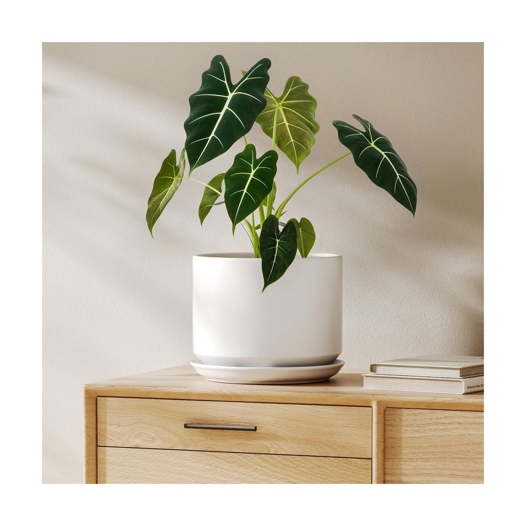 LE TAUCI 8 Inch Plant Pot, Ceramic Pots for Plants, White
