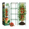 2 Pack 60" Tomato Cages for Garden, Heavy Duty Adjustable Plant Support | For Climbing Plants and Vegetables