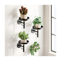 DELLAN Wall Plant Holder, 3 Pack Metal Stand, BlackGold | Hanging Shelves, Indoor Plants, Window Sill Decor, Multi-Room