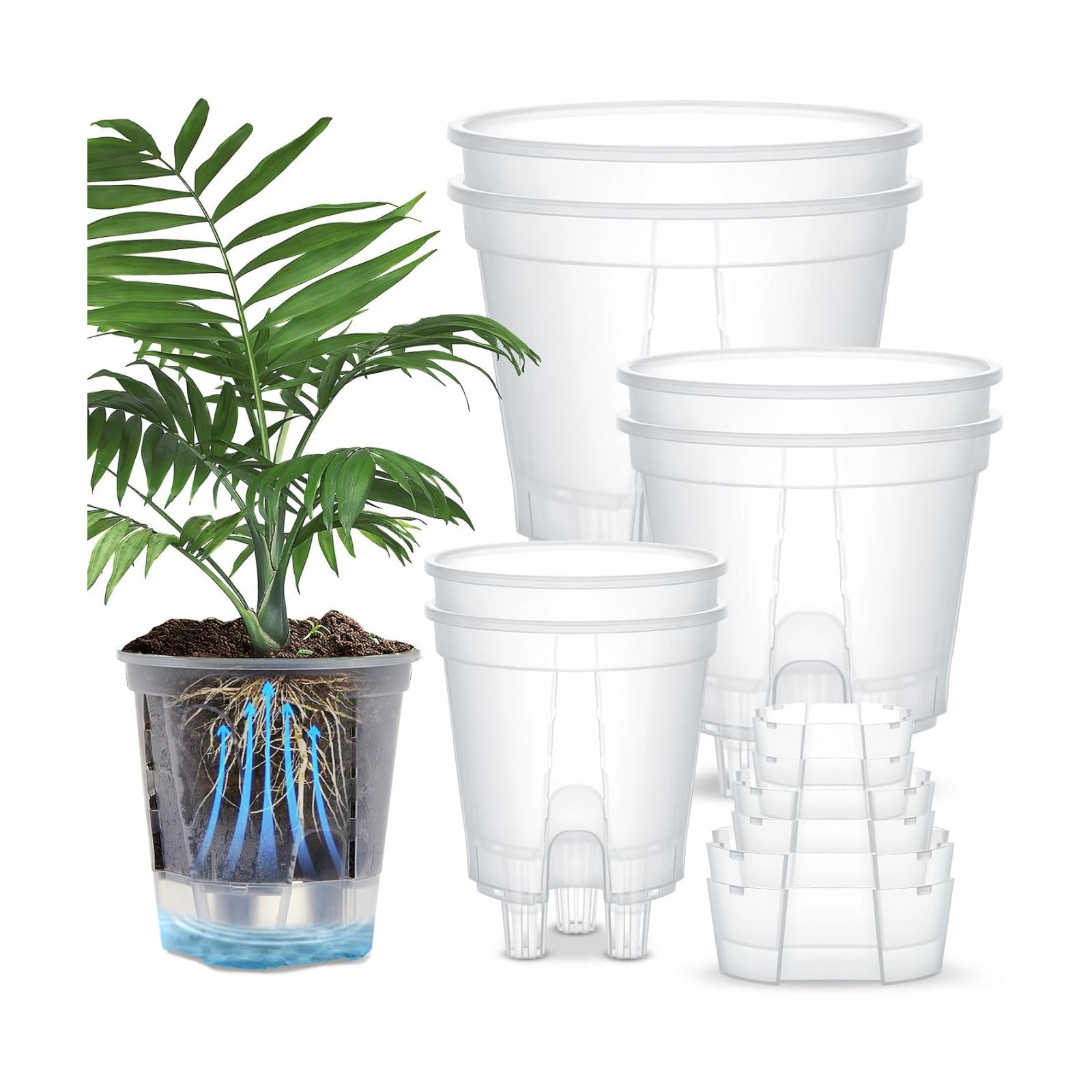Self Watering Planters, Deep Reservoir Pots for Indoor Plants | Clear plastic planters in 3 sizes store water for 7-10