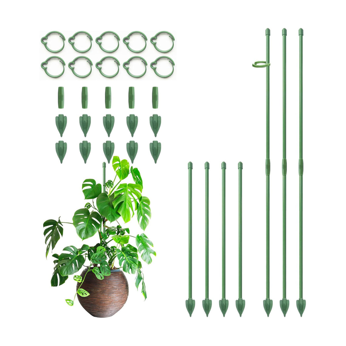 RIFNY Plant Stakes for Indoor Plants, 12 Inch Plant Support Stakes, 10 PCS