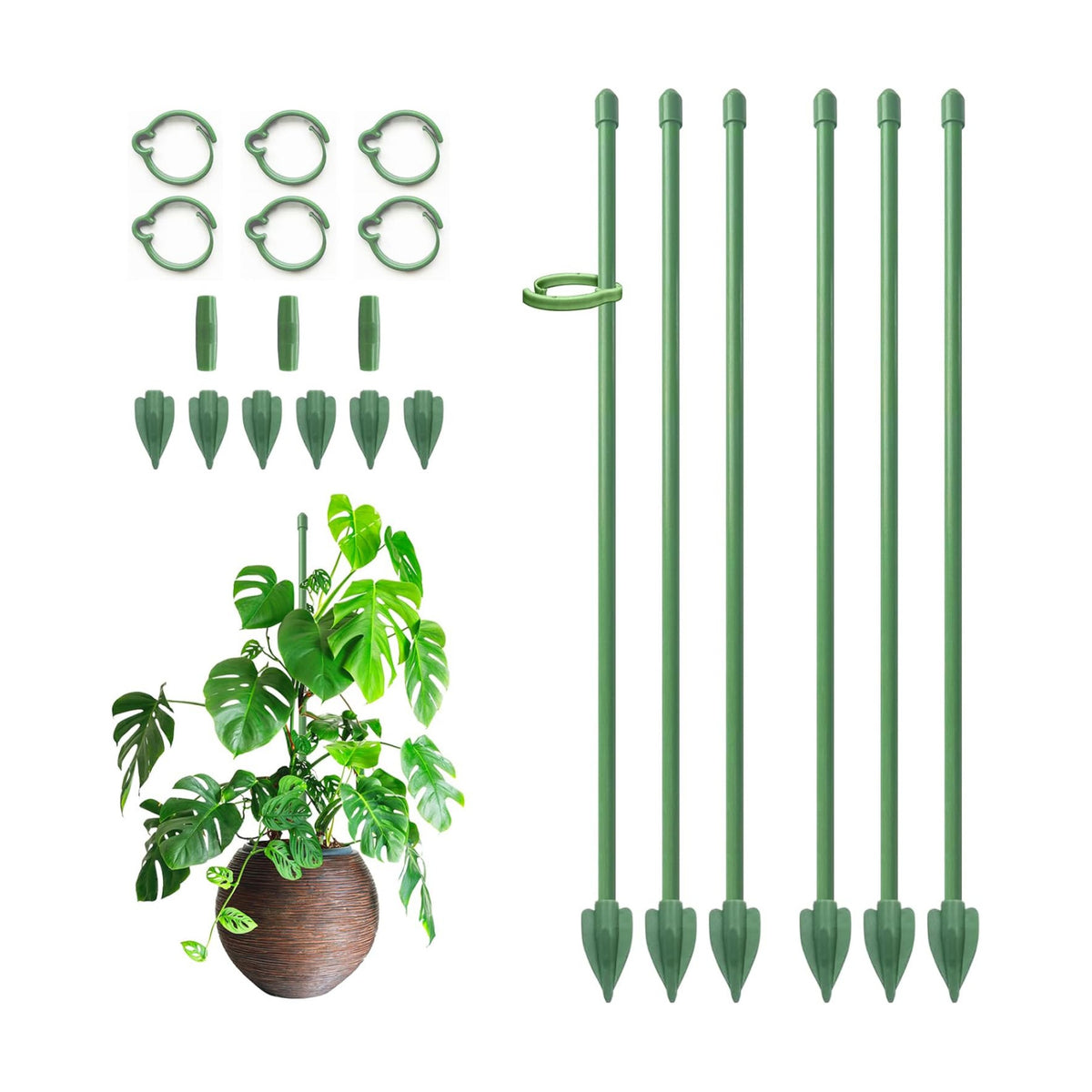 RIFNY Plant Stakes for Indoor Plants, 12 Inch Plant Support Stakes, 6 PCS