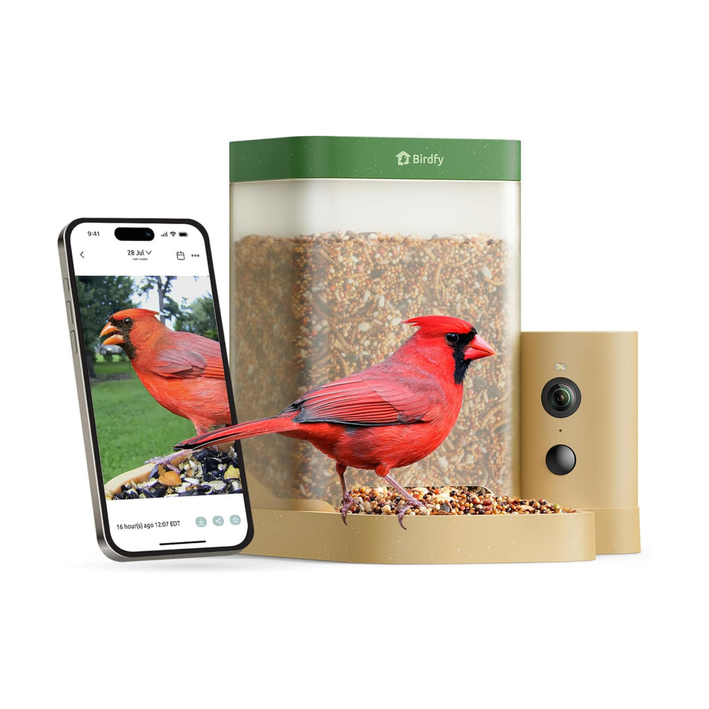 Birdfy Smart Bird Feeder with Camera for Beginners, Rookie AI 7 Day Trial