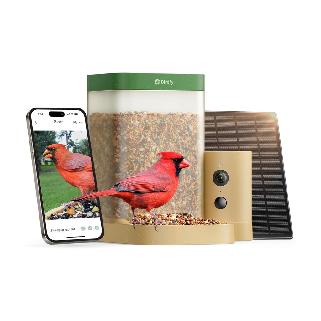 Birdfy Smart Bird Feeder with Camera for Beginners, Solar Powered Rookie